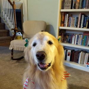 Meet your Posher, April